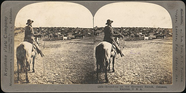 side-by-side picture of a cowboy mounted on a horse and watching a herd of cattle