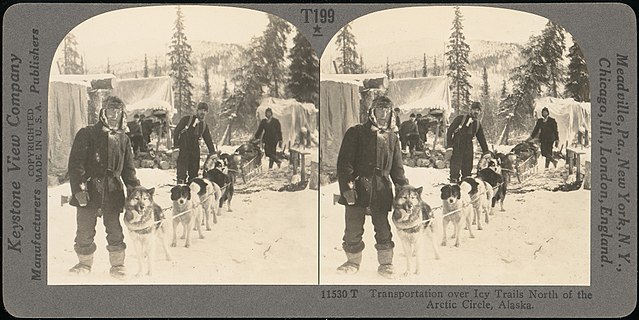 side-by-side picture of a dogs hitched to a dogsled in a snowy camp